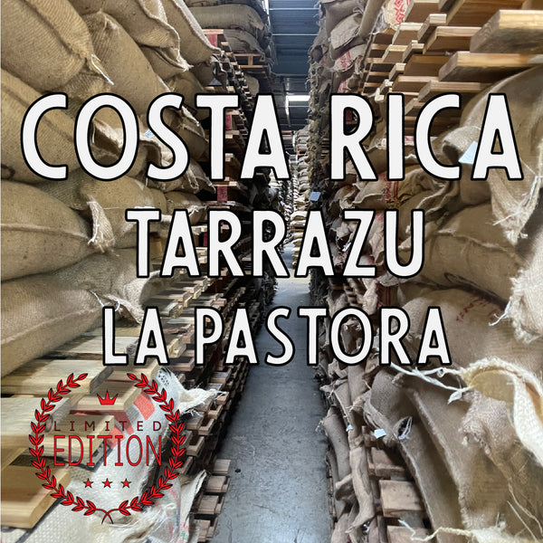 Costa Rica Tarrazu La Pastora (an ecstatic light roast)