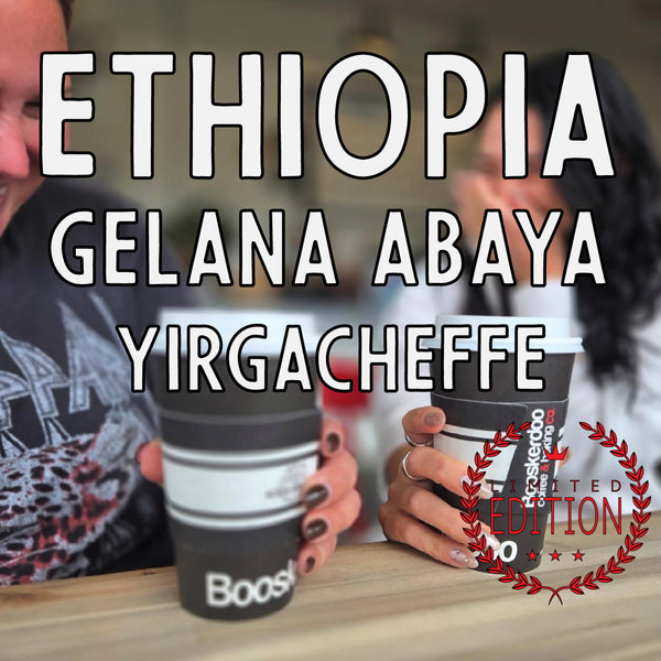 Ethiopia Yirgacheffe Gelana Abaya Washed (a wondrous light roast)
