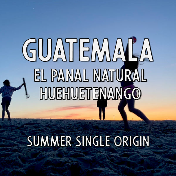 Guatemala El Panal Huehuetenango Natural (an affectionate light roast)