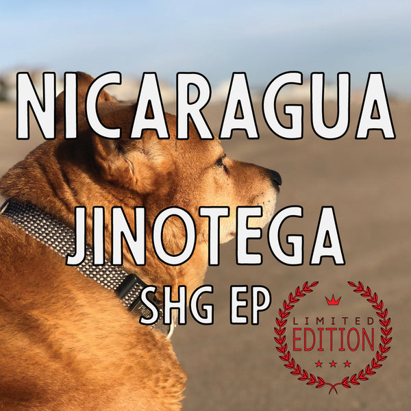 Nicaragua Jinotega SHG (a vibrant light roast)